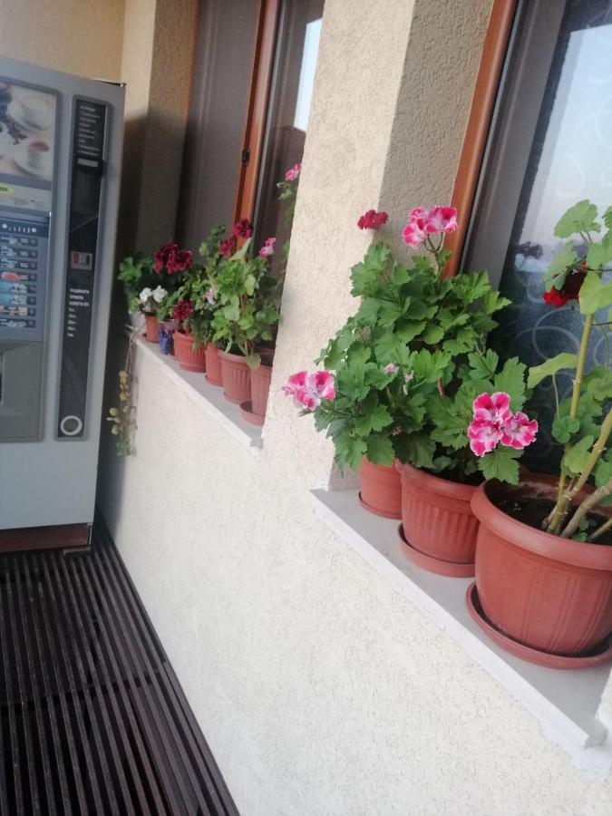 Villa Vega Sozopol Exterior photo